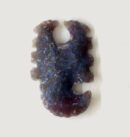 Wholesale Scorpion Agate Artifacts for Sale