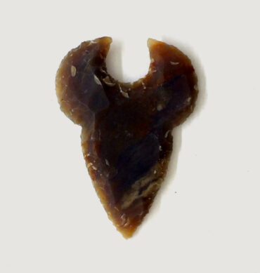 wholesale Shark Tooth Arrowhead for sale 2