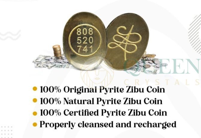 Pyrite Zibu Symbol Coins 1