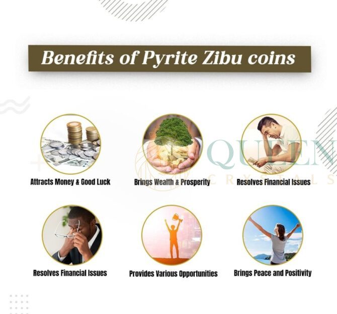 Pyrite Zibu Symbol Coins 2