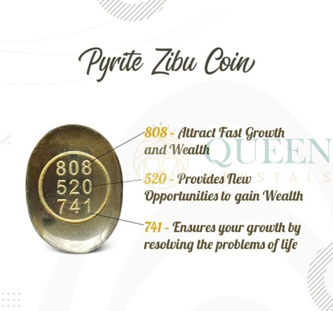 Pyrite Zibu Symbol Coins 3