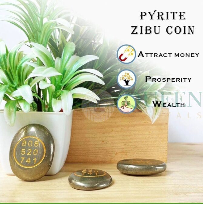 Pyrite Zibu Symbol Coin